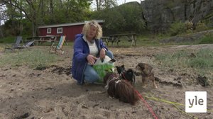 Roska-apulaiset: 27.12.2021 06.00