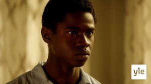 Suukopua (7): 28.12.2021 00.01