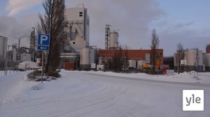 Lakko pysäyttää UPM:n sellutehtaat - seuraamme tilannetta Pietarsaaressa: 31.12.2021 10.14