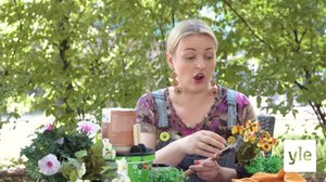 TV:N KESÄOHJELMISTO AINA: 03.01.2022 17.45