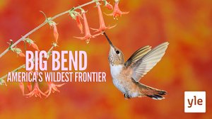 Avara luonto: Rio Grande ja Big Bend: 10.01.2022 06.00