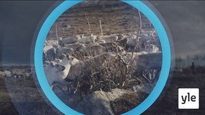 Oddasat: 10.01.2022 22.00