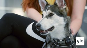 Arka Lumina: 11.01.2022 00.01