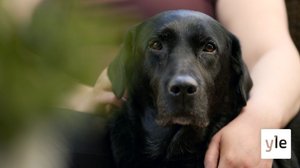 Älykäs Bertta: 11.01.2022 00.01