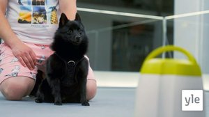 "Minä itte" -Oona: 11.01.2022 00.01