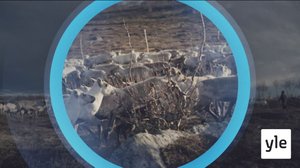 Oddasat: 11.01.2022 22.00