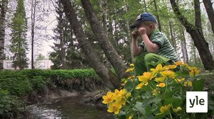 Toukka tiskaa (S): 13.01.2022 06.40