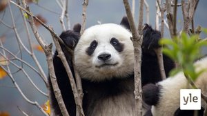 Pandat: 17.01.2022 06.00