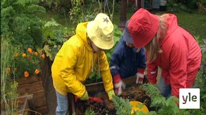 Porkkanoita: 17.01.2022 06.10