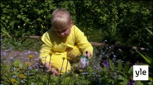 Kasvien jakaminen: 17.01.2022 06.10