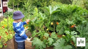 Kasveja moneen tarkoitukseen: 17.01.2022 06.10