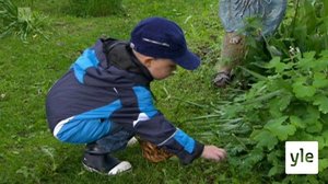 Kotiloiden torjunta: 17.01.2022 06.10