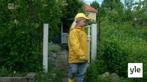 Harvennus ja kitkentä: 17.01.2022 06.10