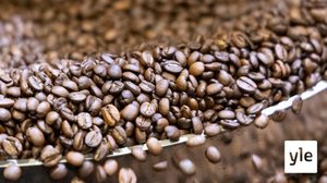 Suomalaiset hakevat kahvista uusia makuja : 17.01.2022 11.28