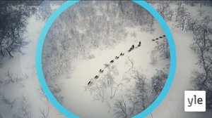 Oddasat: 17.01.2022 22.00