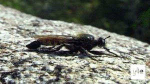 Pörisijät: 18.01.2022 06.05