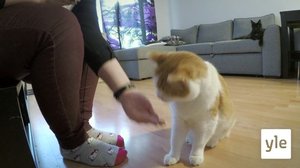 Milli, Bane ja Manna: 18.01.2022 07.00