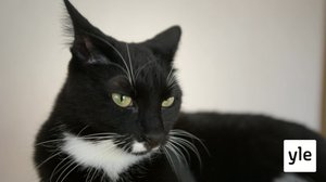 Manu ja Kepu: 18.01.2022 07.00