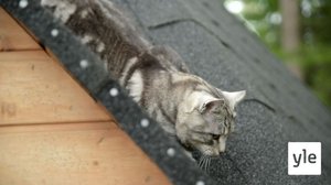 Mikke, Bella-Viktoria ja Vallu: 18.01.2022 07.00