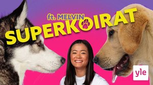 Koira on ihmisen paras ystävä ja taitava työkaveri: 18.01.2022 12.02