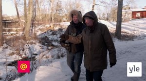 Juhat luonnossa: Koskikara - sulien paikkojen karski sukeltaja: 18.01.2022 14.58