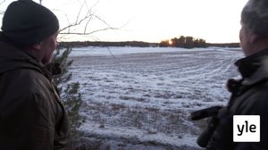 Juhat luonnossa: Säiden vaihtelu rasittaa: 19.01.2022 10.16