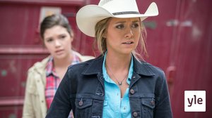 Hevonen ilman ratsastajaa (12): 20.01.2022 06.00