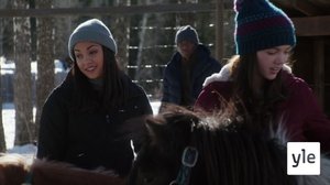 Sanoja vain (12): 20.01.2022 06.00