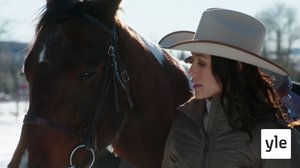 Vuosipäivä (7): 20.01.2022 06.00