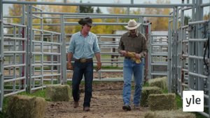 Sopimusehdot (S): 20.01.2022 06.00