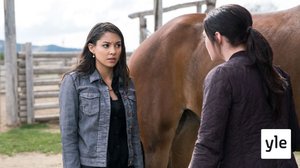 Sekavia tunteita (7): 20.01.2022 06.00