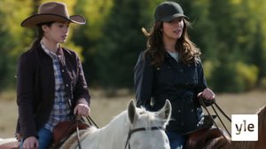 Karjanajossa (7): 20.01.2022 06.00