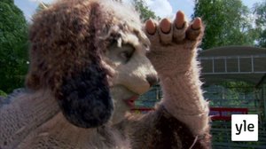 Heittäminen: 20.01.2022 07.20