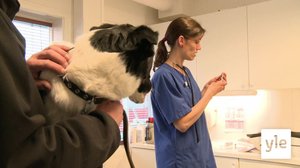 Emma, Trulte ja Max: 20.01.2022 17.25