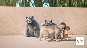 Pörrö karussa (7): 21.01.2022 10.00