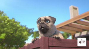 Koirankopissa (7): 21.01.2022 10.00