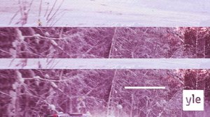 Rovaniemen osakilpailu: 22.01.2022 10.10