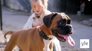 Kauhea skeittilauta: 25.01.2022 06.00