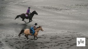 Vedonlyönti (S): 27.01.2022 06.00