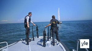 Hullun lailla kaahaamista ja rabiesriskejä: 31.01.2022 00.01