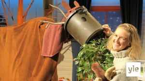 BUU-klubben: 31.01.2022 18.00