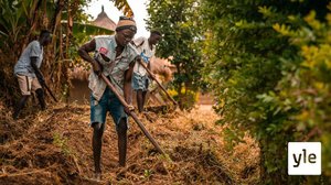 Paluu sodan repimään kotimaahan: 06.02.2022 12.05