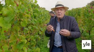 Camel Valley: 07.02.2022 06.00