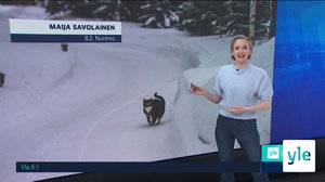 Sääennuste klo 7.40: 09.02.2022 07.57