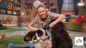 BUU-klubben: 10.02.2022 18.00