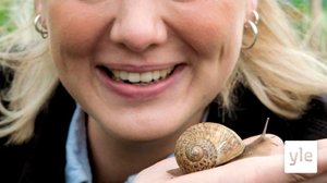 Etanoita, kuorrutettua kukkakaalia ja uusi leivinuuni: 12.02.2022 06.00