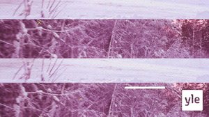 Riihimäen osakilpailu: 12.02.2022 19.00