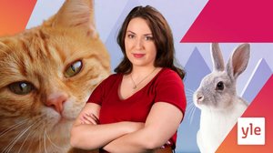 Eläinsuojeluilmoitusten määrä on kasvanut koronapandemian aikana: 14.02.2022 00.01