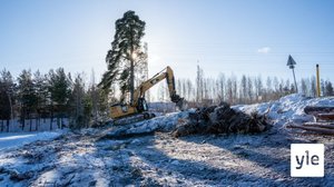 Näsisaaren rakentaminen Näsijärveen alkaa tänään (S):