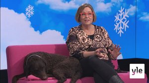 Katriina Tiira: 24.02.2022 19.01